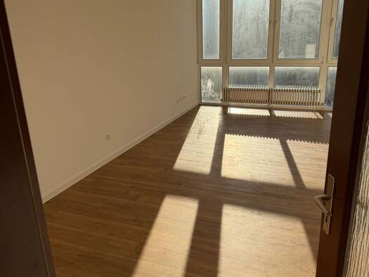 Wohnung zur Miete 730 € 2 Zimmer 65 m² Geschoss 3/5 frei ab sofort Friesenheim/Nord Ludwigshafen am Rhein 67063
