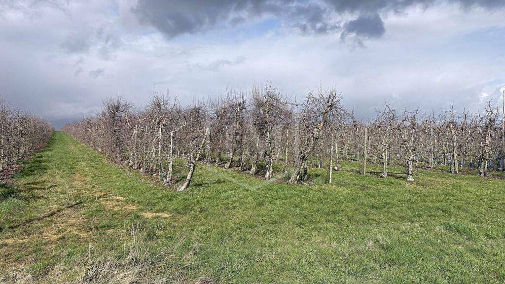 Landwirtschaftliche Fläche zum Kauf 51.600 € 5.729 m² Grundstück Meckenheim 53340