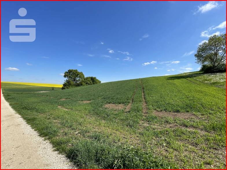Land-/Forstwirtschaft zum Kauf 8.014 m² Grundstück Bissingen Bissingen 86657