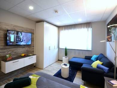 Studio zur Miete 645 € 1 Zimmer 26 m² Georg-Mayr-Straße 8 Marktheidenfeld Marktheidenfeld 97828