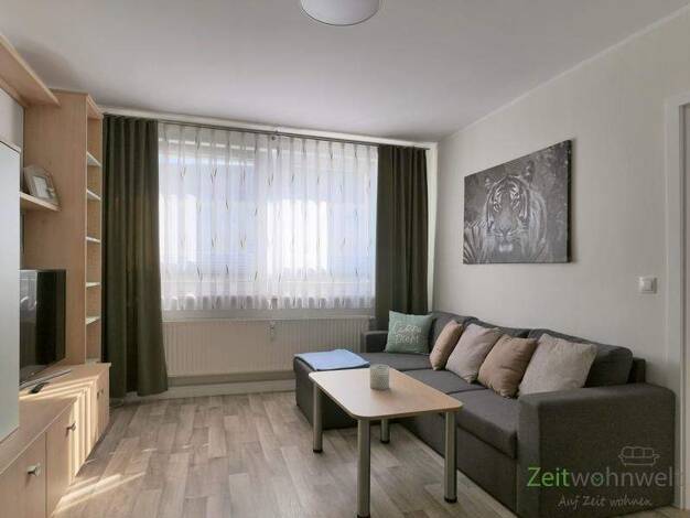 Wohnung zur Miete Wohnen auf Zeit 700 € 3 Zimmer 56 m² frei ab sofort Werdau 08412