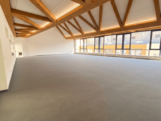 Büro zur Miete provisionsfrei 250 m² Bürofläche Heilgeiststr. 85 Altstadt Stralsund 18439