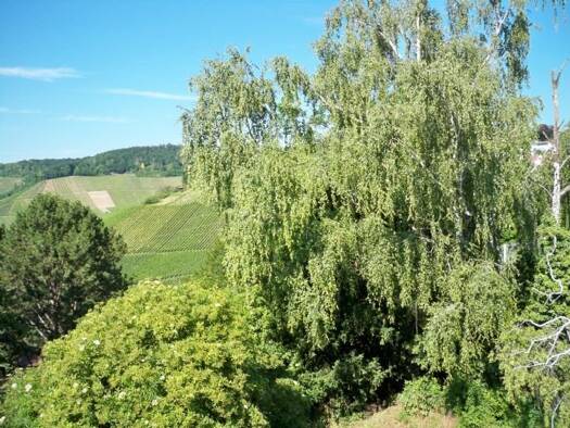 Wohnung zur Miete 950 € 3,5 Zimmer 68 m² Geschoss 1/2 frei ab 01.11.2026 Im Graben Rotenberg Stuttgart 70327