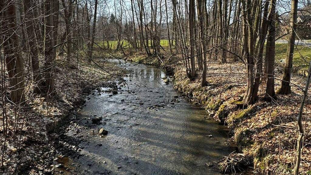 Freizeitgrundstück zum Kauf provisionsfrei 15.000 € 12.940 m² Grundstück Berthelsdorf Herrnhut 02747