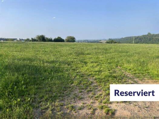 Land-/Forstwirtschaft zum Kauf 105.063 € 50.030 m² Grundstück Eigelscheid Winterspelt 54616