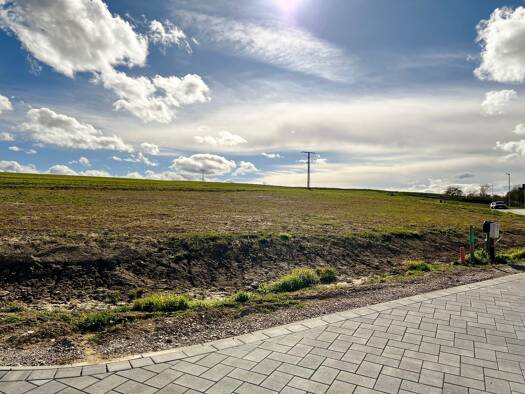 Grundstück zum Kauf 336.000 € 700 m² Grundstück Partenheim 55288