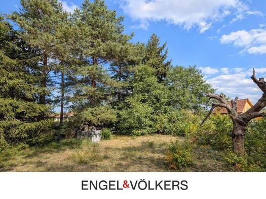 Grundstück zum Kauf 1.900.000 € 1.024 m² Grundstück frei ab sofort Friedrichsthal Oranienburg 16515