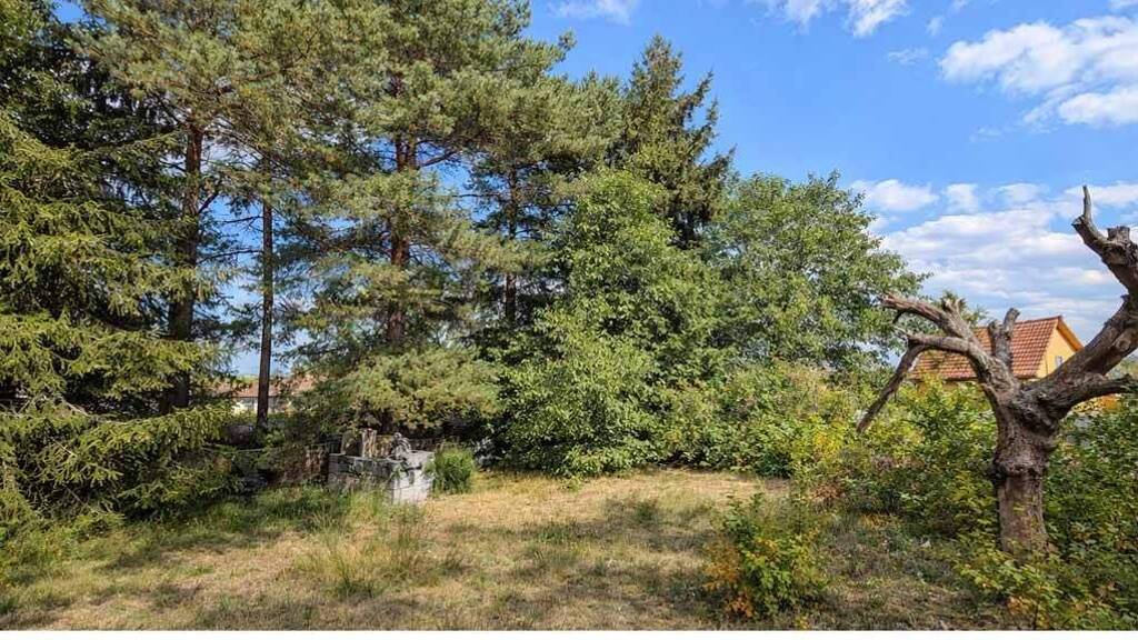 Grundstück zum Kauf 190.000 € 1.024 m² Grundstück frei ab sofort Friedrichsthal Oranienburg 16515