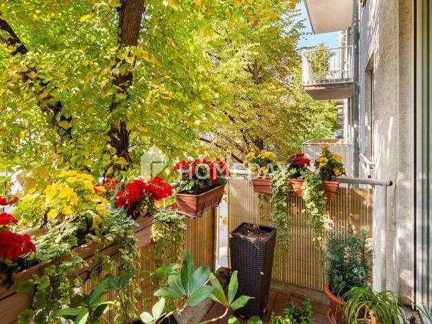 Wohnung zum Kauf 245.000 € 2 Zimmer 59 m² 2. Geschoss Weißensee Berlin 13086