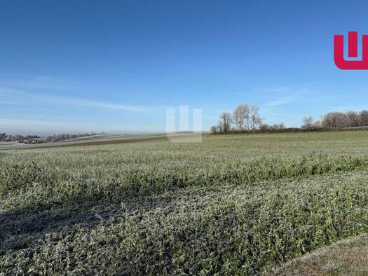 Land-/Forstwirtschaft zum Kauf 352.000 € 22.595 m² Grundstück Tegernbach Mittelstetten / Tegernbach 82293