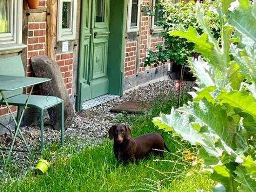 Einfamilienhaus zum Kauf 879.000 € 8 Zimmer 202 m² 2.396 m² Grundstück Marleben Trebel / Marleben 29494