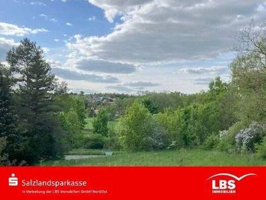 Grundstück zum Kauf 10.400 € 1.334 m² Grundstück Giersleben 06449