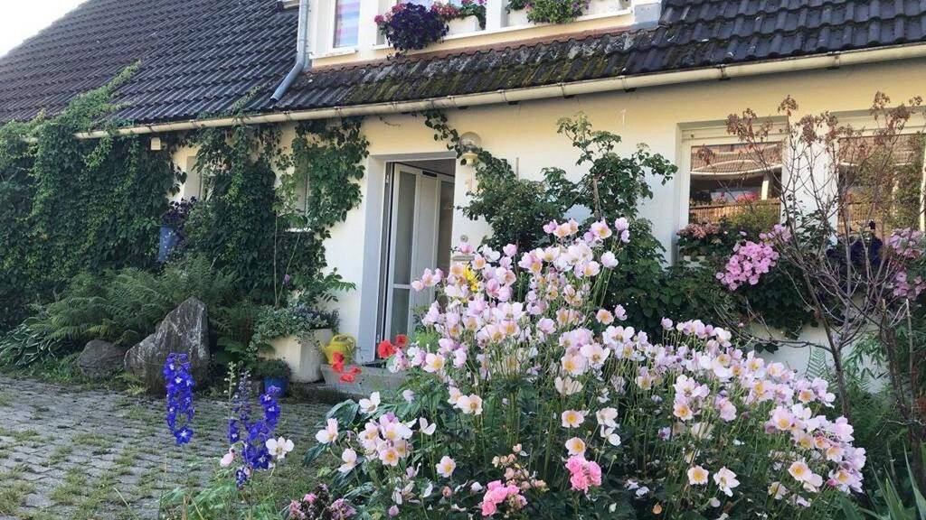 Einfamilienhaus zum Kauf provisionsfrei 700.000 € 9 Zimmer 208,6 m² 362 m² Grundstück Saig Lenzkirch 79853