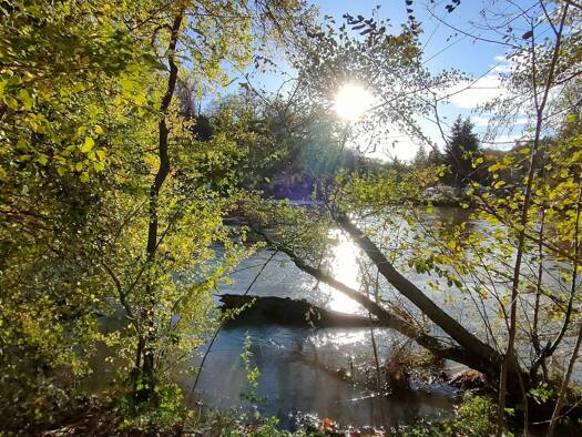 Maisonette zum Kauf provisionsfrei 385.000 € 3,5 Zimmer 123 m² Geschoss 3/4 Bad Münster-Ebernburg Bad Kreuznach 55583