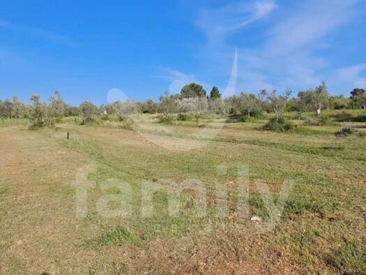 Acker-/Waldstück zum Kauf 105.000 € Fažana 52212