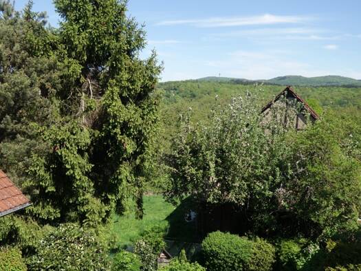 Einfamilienhaus zum Kauf 398.000 € 6 Zimmer 143 m² 633 m² Grundstück Bremthal Eppstein 65817