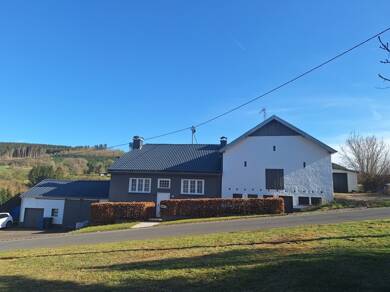 Einfamilienhaus zum Kauf 340.000 € 6 Zimmer 140 m² 7.095 m² Grundstück Niederprüm Prüm 54595