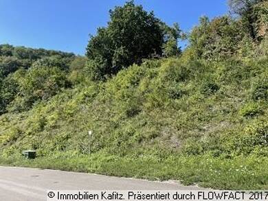 Grundstück zum Kauf 45.000 € 6.341 m² Grundstück Kreimbach-Kaulbach Kreimbach-Kaulbach 67757