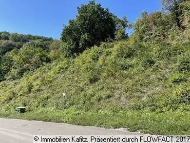 Grundstück zum Kauf 45.000 € 6.341 m² Grundstück Kreimbach-Kaulbach Kreimbach-Kaulbach 67757