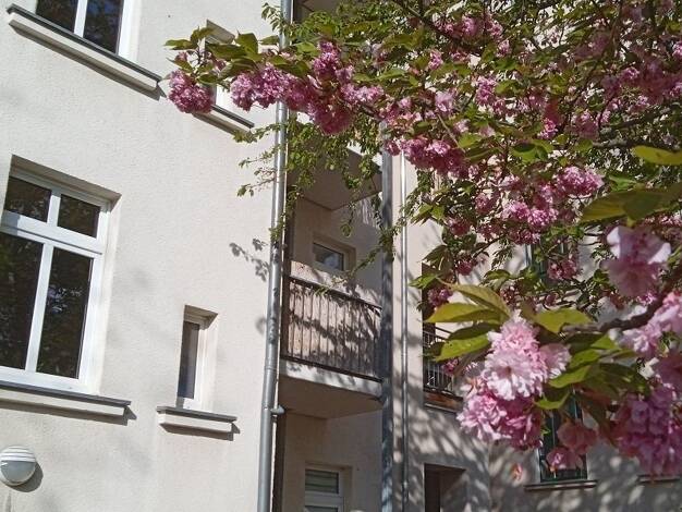 Wohnung zum Kauf 125.000 € 2 Zimmer 53 m² 1. Geschoss Neustadt-Neuschönefeld Ost 04315