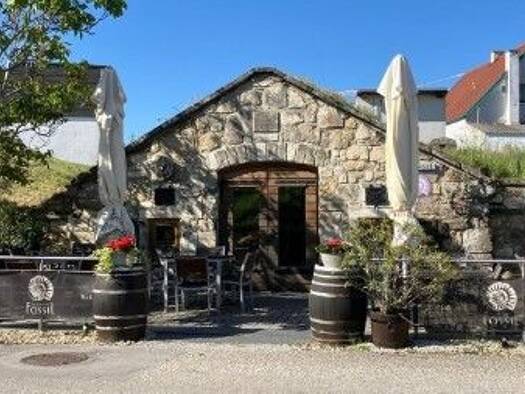Restaurant zum Kauf 390.000 € 241 m² Grundstück Purbach am Neusiedler See 7083