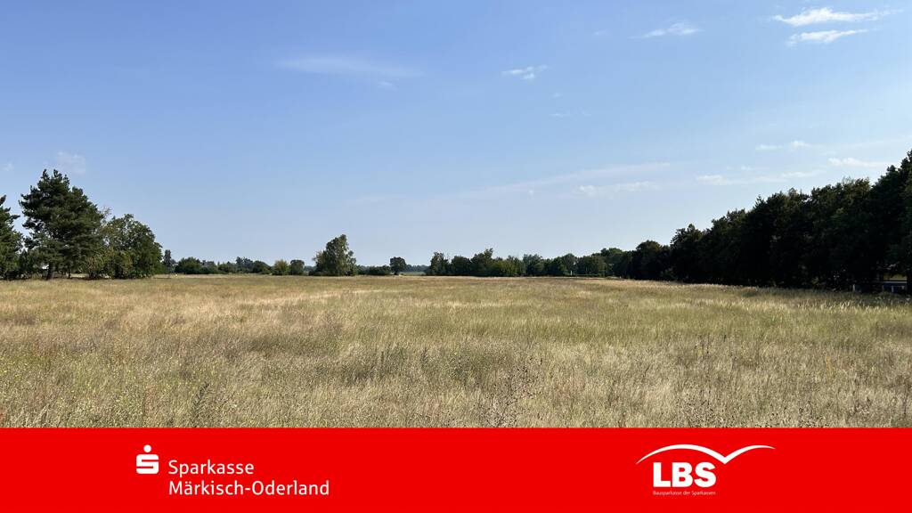 Grundstück zum Kauf provisionsfrei 87.000 € 717 m² Grundstück Wriezen 16269