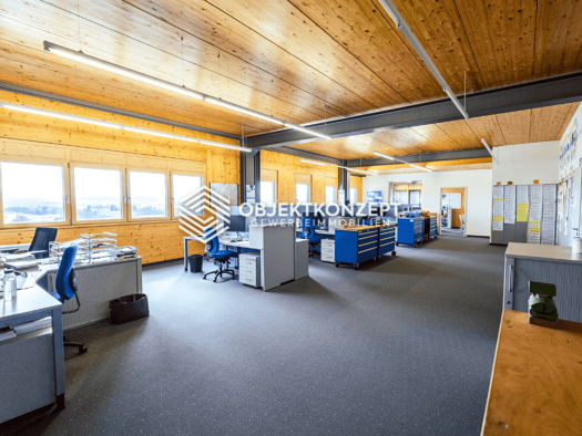 Büro zur Miete 4.840 € 440 m² Bürofläche Donaueschingen 78166