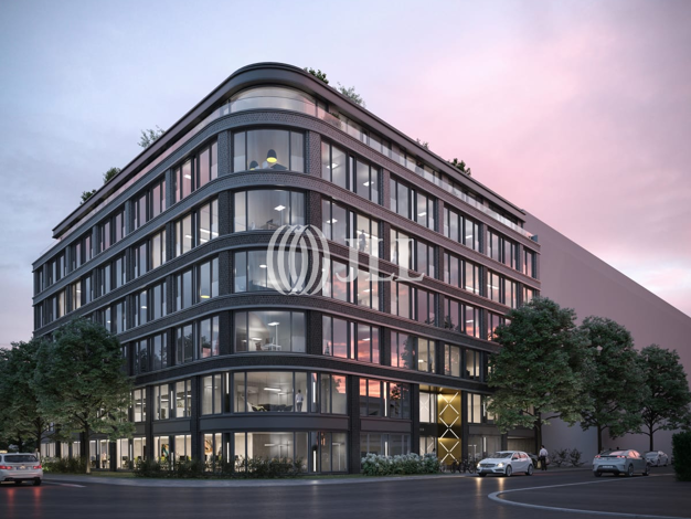 Bürofläche zur Miete provisionsfrei 30 € 517,3 m² Bürofläche München 80686