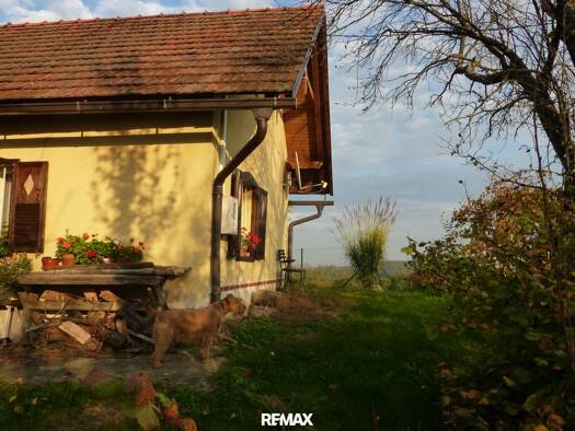 Haus zum Kauf 75.000 € 2 Zimmer 50 m² 11.942 m² Grundstück Gornja Radgona 9250