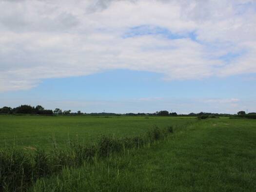 Land-/Forstwirtschaft zum Kauf 403.500 € 139.093 m² Grundstück Sillens Butjadingen / Sillens 26969