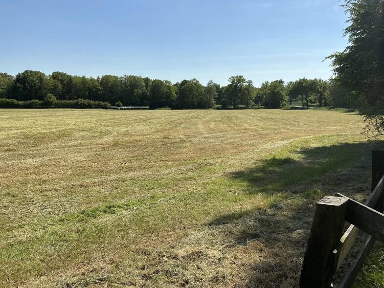 Landwirtschaftliche Fläche zum Kauf 150.000 € 32.500 m² Grundstück Schwagstorf Fürstenau 49584