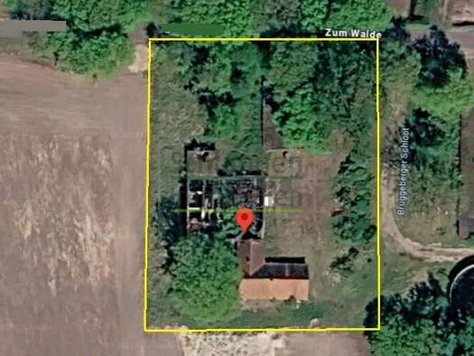 Grundstück zum Kauf 4.432 m² Grundstück Harkebrügge Barßel 26676