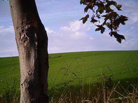 Grundstück zum Kauf provisionsfrei 95.000 € 1.300 m² Grundstück Baugenehmigung vorhanden XXXXXXXXXX Neustadt Neustadt an der Orla 07806