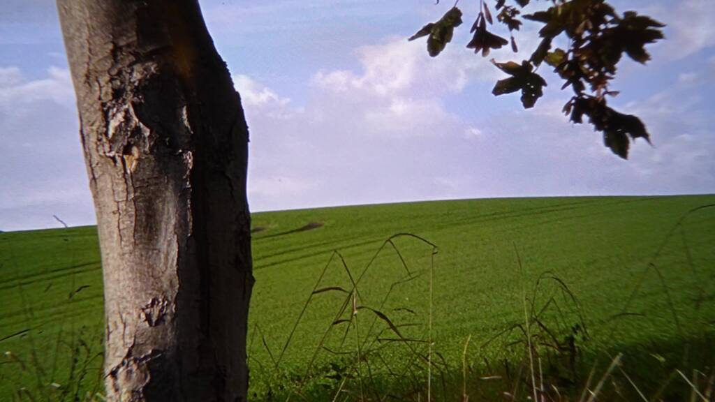 Grundstück zum Kauf provisionsfrei 85.000 € 1.300 m² Grundstück Baugenehmigung vorhanden XXXXXXXXXX Neustadt Neustadt an der Orla 07806