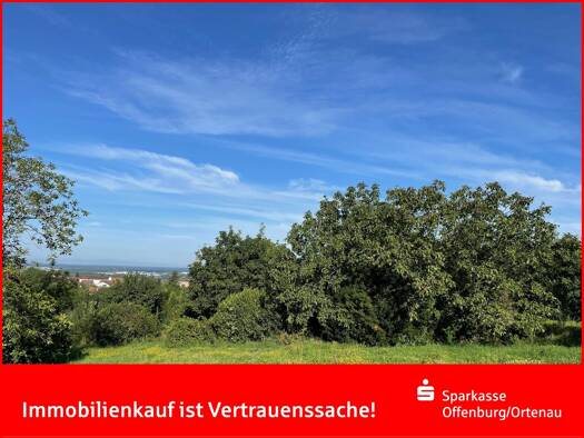 Grundstück zum Kauf 168.000 € 556 m² Grundstück frei ab sofort Lauf 77886