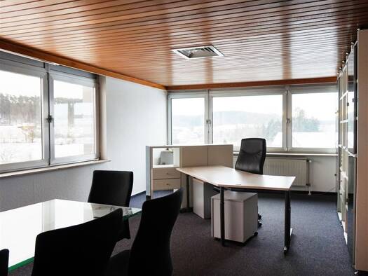 Bürofläche zur Miete 600 € 50,4 m² Bürofläche Stübach Diespeck 91456