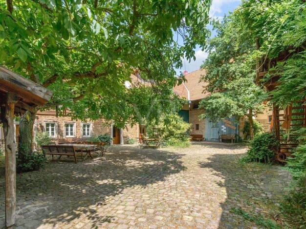 Mehrfamilienhaus zum Kauf als Kapitalanlage geeignet 989.000 € 943 m² 1.104 m² Grundstück Eckelsheim 55599