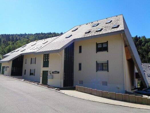 Wohnung zum Kauf 99.500 € 2 Zimmer 58,9 m² Vordertodtmoos Todtmoos 79682