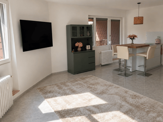 Wohnung zur Miete 810 € 1 Zimmer 34 m² Petershausen Konstanz 78464