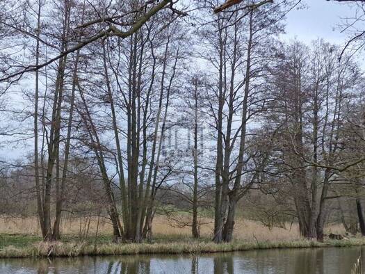 Freizeitgrundstück zum Kauf 15.000 € 6.010 m² Grundstück Lehde 03222