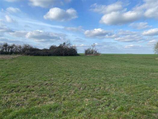 Grundstück zum Kauf 45.000 € 1.541 m² Grundstück Kornhain Wurzen 04808