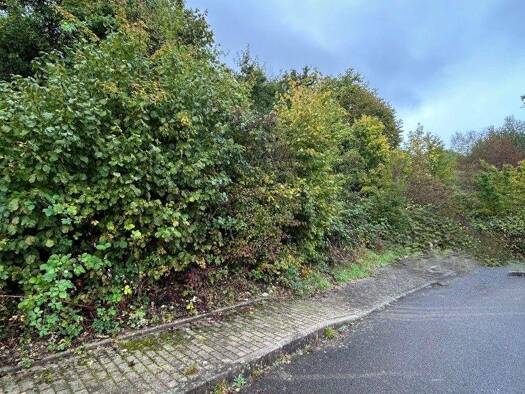 Grundstück zum Kauf 75.000 € 337 m² Grundstück frei ab sofort Treuchtlingen 91757