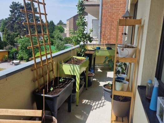 Wohnung zur Miete 800 € 2 Zimmer 59 m² 2. Geschoss frei ab 01.04.2026 Werstener Dorfstrasse Wersten Düsseldorf 40591