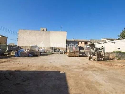 Wohn- und Gewerbegrundstück zum Kauf 325.000 € Muro Muro 07440