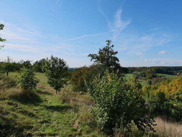 Grundstück zum Kauf 70.000 € 979,1 m² Grundstück Wewelsburg Büren 33142