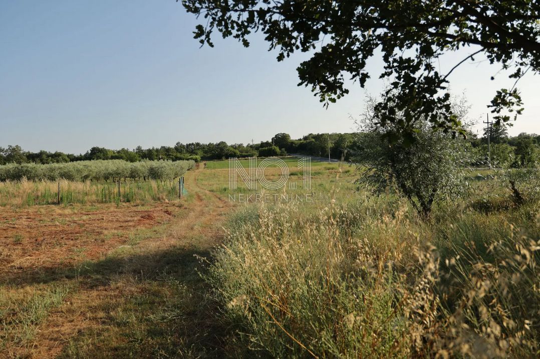 Land-/Forstwirtschaft zum Kauf 258.000 € Zbandaj