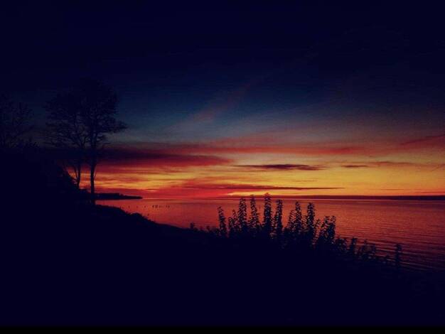 Wohnung zum Kauf 157.000 € 1 Zimmer 31,9 m² frei ab 01.12.2025 Wischuer Biendorf 18230