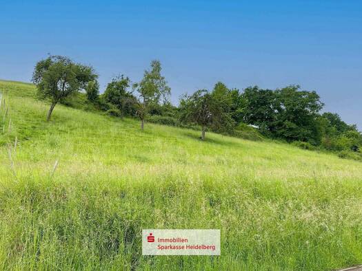 Grundstück zum Kauf 63.600 € 795 m² Grundstück Friedrichsdorf Eberbach 69412