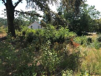 Grundstück zum Kauf 588.000 € 2.453 m² Grundstück Schwarzenbach Homburg 66424