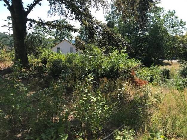 Grundstück zum Kauf 588.000 € 2.453 m² Grundstück Schwarzenbach Homburg 66424